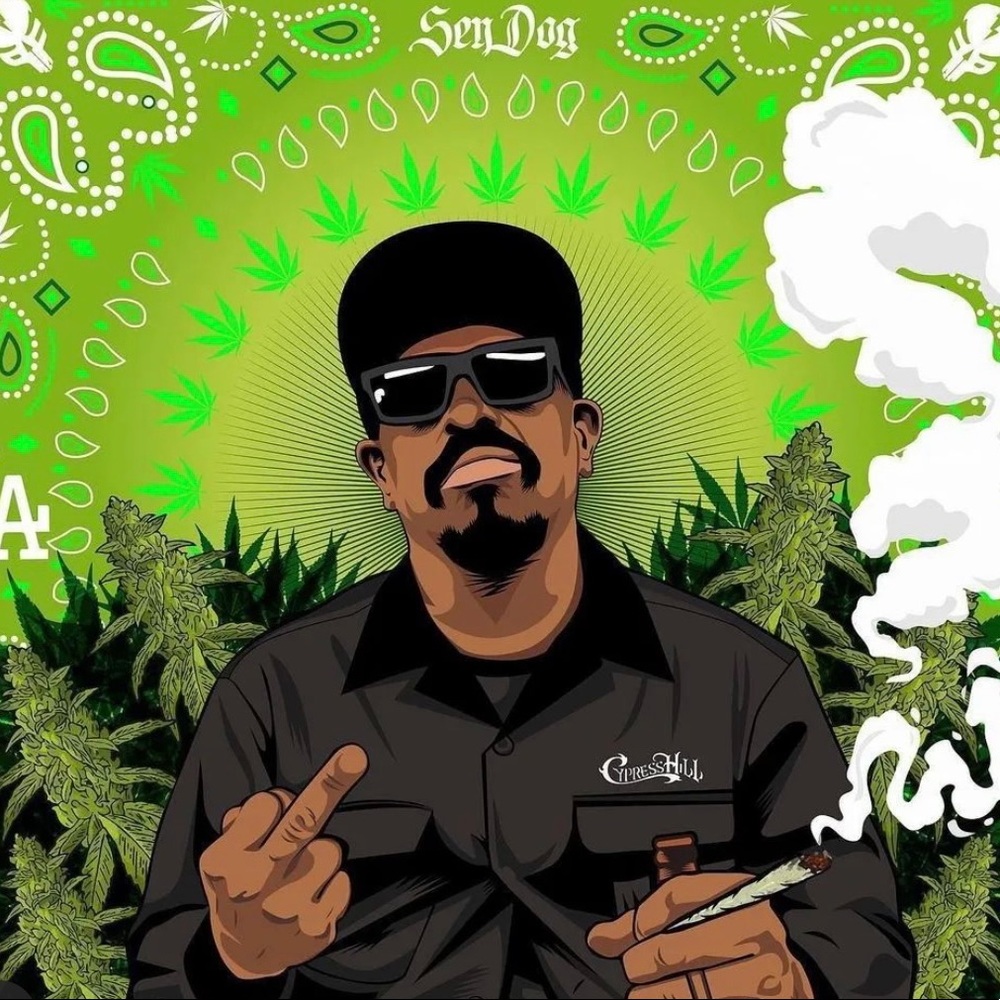 Cypress Hill men's genuine Black Fly shades NWT